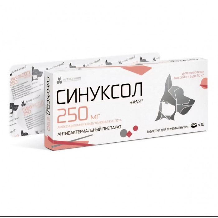 Синуксол-нита табл. 250 мг № 10